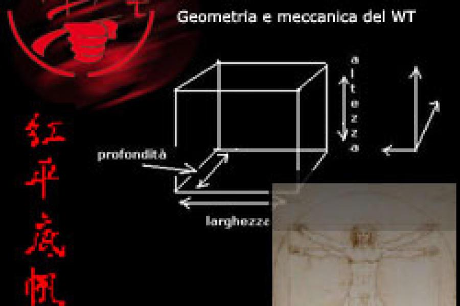 Geometria e meccanica del WT