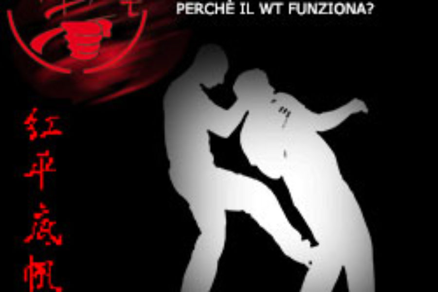 Perché il Wing Tsun Kung Fu Funziona?