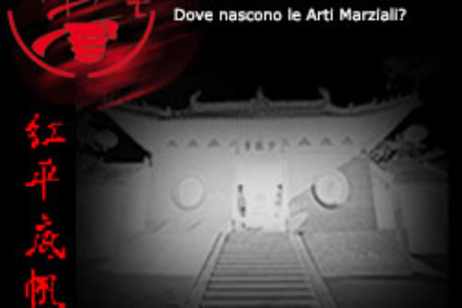 Dove nascono le Arti Marziali