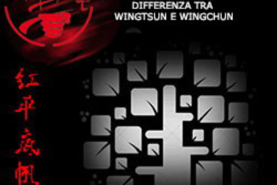 DIFFERENZA TRA WINGTSUN E WINGCHUN